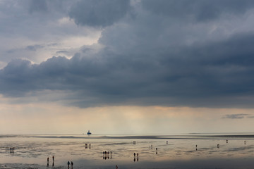 Naklejka premium People walking on the mud flats at the North Sea