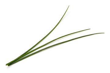 Fototapeta premium Świeże zielone cebule lub scallions, zbliżenie, na białym tle