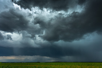 Tropic storm clouds with micro burst rain
