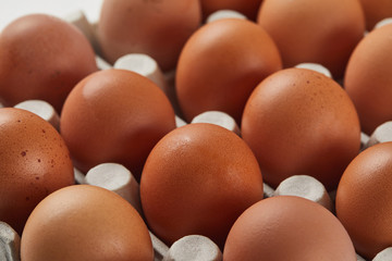 selective focus of chicken eggs in carton box