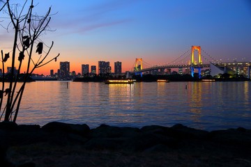 Obraz premium Tokyo city evening