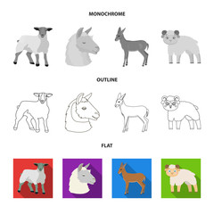 Vector illustration of sheep and goat icon. Collection of sheep and happy stock symbol for web.