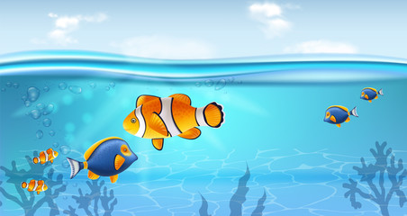 Gold fish underwater Vector realistic. Sea life small fish. Ocean backgrounds