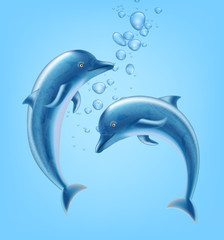 Dolphins underwater Vector realistic. Beautiful couple dolphine sea backgrounds