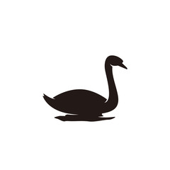 swan on white background