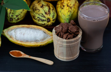 Fresh cacao fruit with cocoa crunch (Products Production from cacao) on table