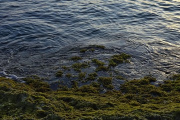pier and basket boats in asian fishing village