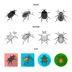 Vector design of insect and beetle symbol. Collection of insect and halloween stock symbol for web.