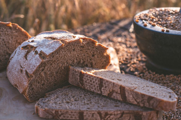 bread flour and corn on a old table with cornfield in the background