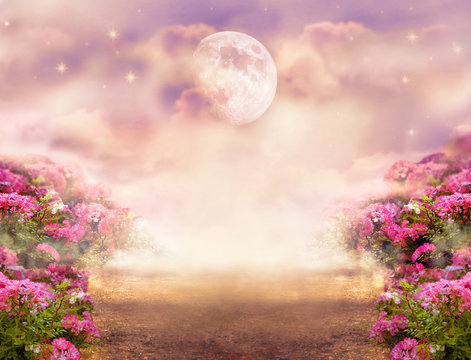 Fantasy photo background with rose field, dramatic sky with moon and stars, misty path leading across hills to mysterious glow. Tranquil evening scene. Photo of moon is taken by me with my camera.
