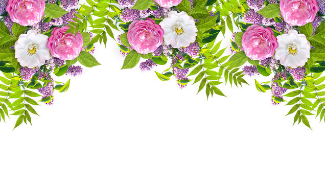 Beautiful floral garland consists of lilacs flowers, dog roses (briar) and green leaves isolated on white background. Copy space for photo or text.