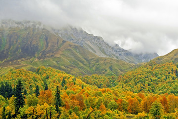 colorful autumn landscape with rocky mountains shrouded in clouds and autumn trees with bright colorful foliage