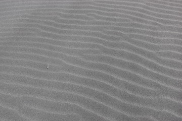 Fototapeta na wymiar Closeup of black sand at the beach in Iceland