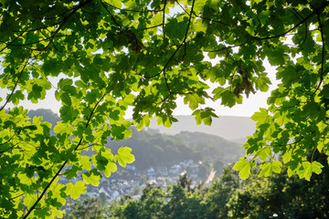 Landscape shot with beautiful green summer leaves of a tree and a view on the town Bad Orb, Hessen, Germany
