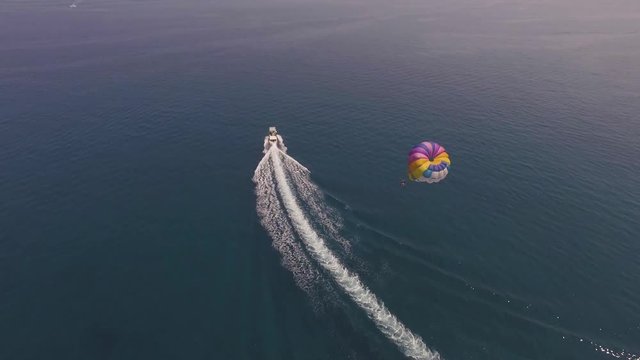 AERIAL VIEW parasailing at sea.
