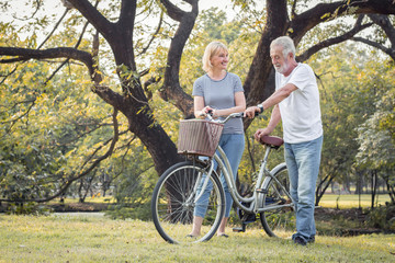 Obraz premium Couples elderly are bicycling together.