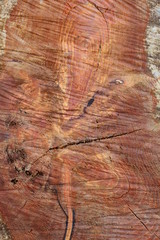  Background. Red star ornament on stump