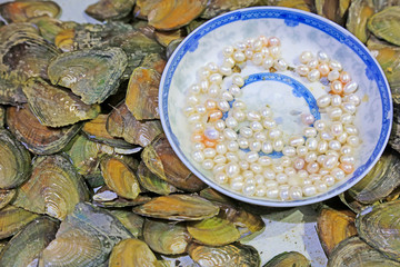Pearl mussel and plate