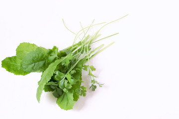 Fresh organic young leaves spring edible greens from home garden isolated white background close up