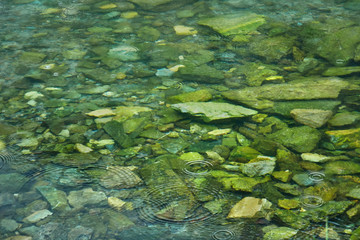 Clear water and the bottom of a mountain lake