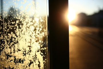 Early winter morning on a tram stop with strong sunlight on the Avenue, Gothenburg, Sweden