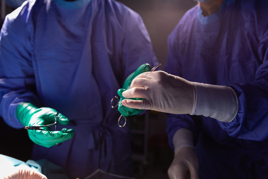 Surgeon holding forceps while another holding scissors during surgery 