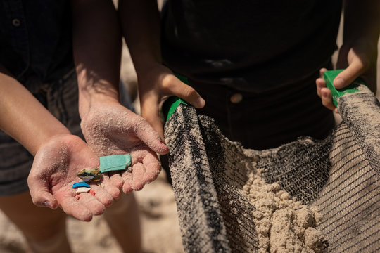 Volunteers holding waste in hand at beach on a sunny day