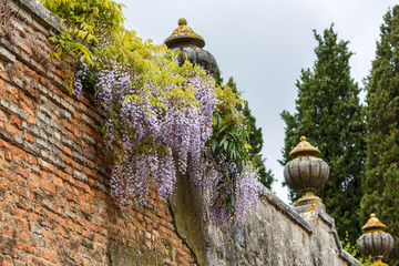 Brick wall in a garden with hanging flowers