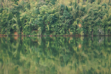 Tropical forest reflection in fresh water lake.