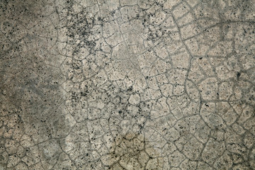 wet cement texture wall background