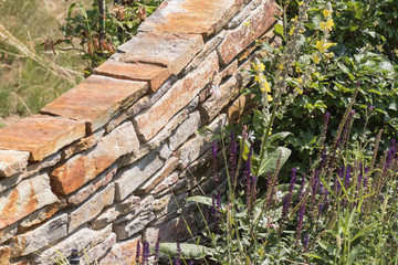 Sandsteinmauer mit Pflanzen im Garten als Hintergrund