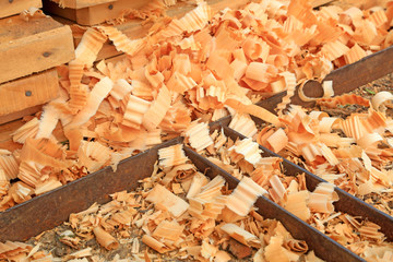piles of wood shavings