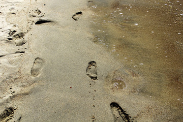 The sand preserved the traces of a man who walked along the seashore