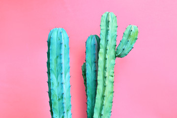 Fashion Blue colored Cactus on pastel pink background. Trendy tropical cacti plant close-up. Art...