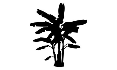 vector of banana tree silhouette
