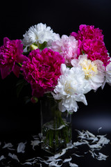 Bouquet of peonies with water drops. Black background. Close-up, selective focus.