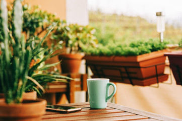 Fototapeta na wymiar Cozy summer balcony with many potted plants, cup of tea and smartphone lying on wooden table