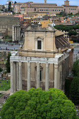 Fototapeta na wymiar Roman forum, Palatine Hill.