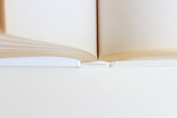 open book with blank pages
