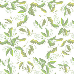 grean leaf pattern  hand drawn illustration with grunge simple texture