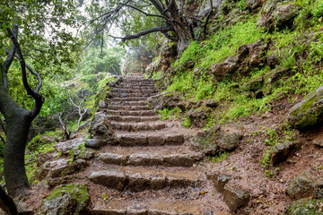 banias national park israel