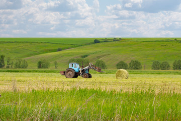 Rural life, a rural tractor collects a sheaf of hay on a green meadow. Round hay roll, pet food, hay on the farm