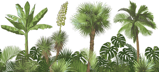 Vector Tropical palms, plants, leaf, foliage, monstera - obrazy, fototapety, plakaty