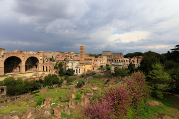Fototapeta premium Roman forum, Palatine Hill.