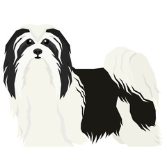Vector illustration Dog collection Havanese Dog Geometric style Isolated object