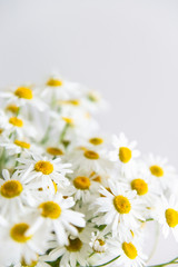 Naklejka na ściany i meble Daisy chamomile bouquet on white background. Summer flowers. Selective focus. Close up, copy space