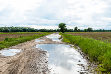 Large puddles on a dirt road that goes between cultivated fields on a cloudy day.