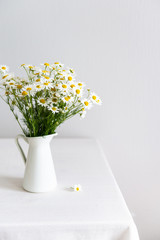 Bouquet of daisy-chamomile flowers in white vase on the table on white background. Copy space.