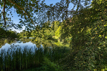 Fototapete bei efototapeten.de bestellen   