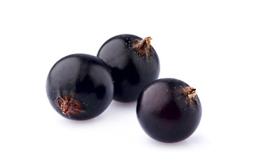 Black currant berries on White Background isolated